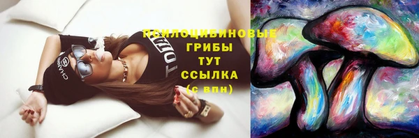 винт Алексин