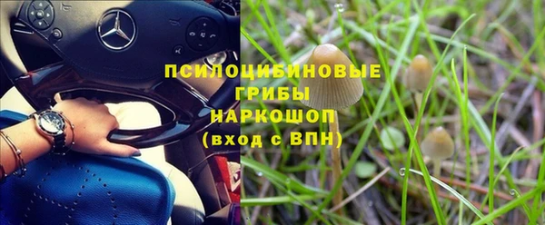 винт Алексин