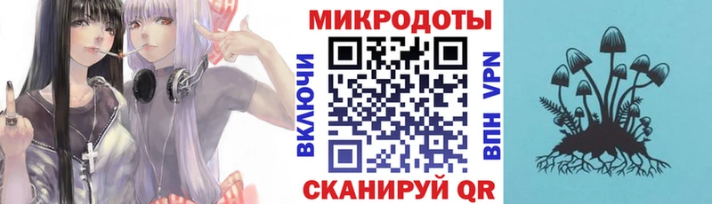 Галлюциногенные грибы прущие грибы  блэк спрут ТОР  Асино 