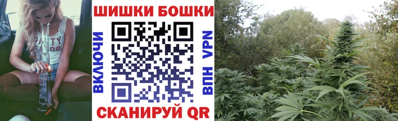 что такое   Асино  Шишки марихуана Ganja 